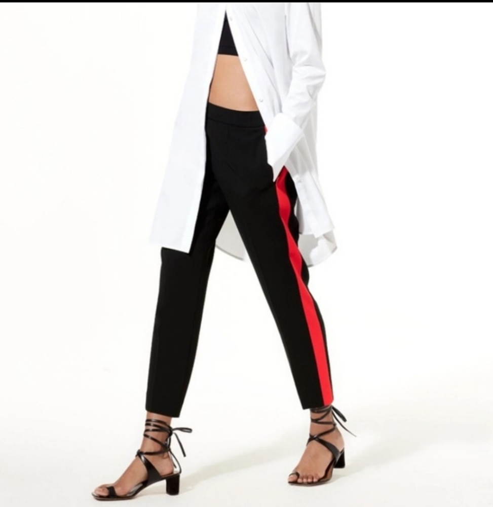 Pant - Aritzia Babaton Conan style